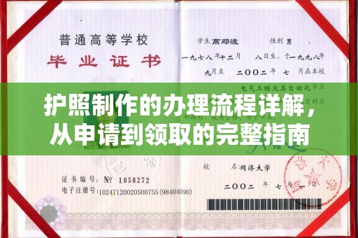 奉新护照制作的办理流程详解，从申请到领取的完整指南